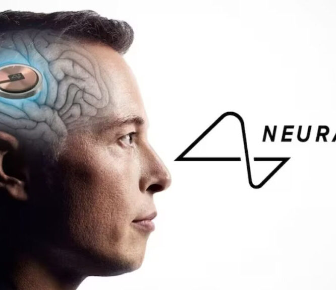 Neuralink explained musks quest for brain machine interfaces forbes