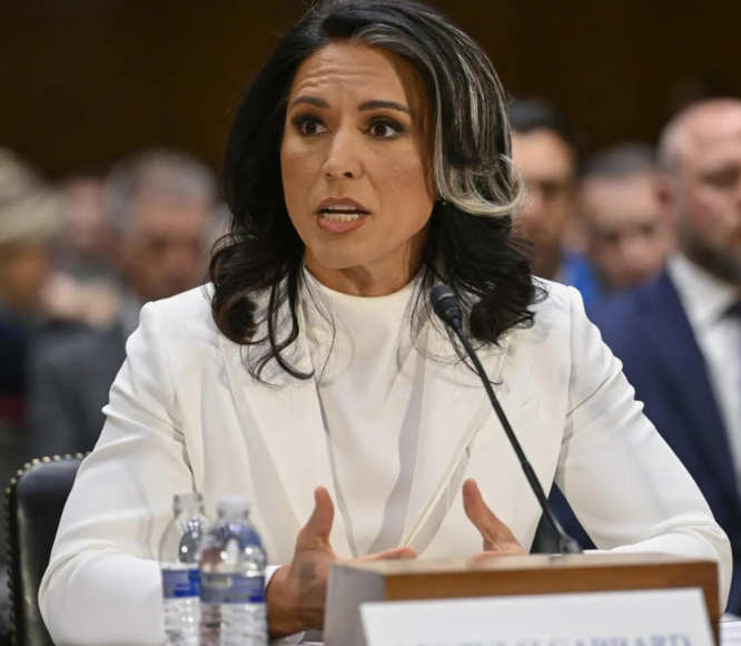 Tulsi gabbard hearing what is the havana syndrome the times of india