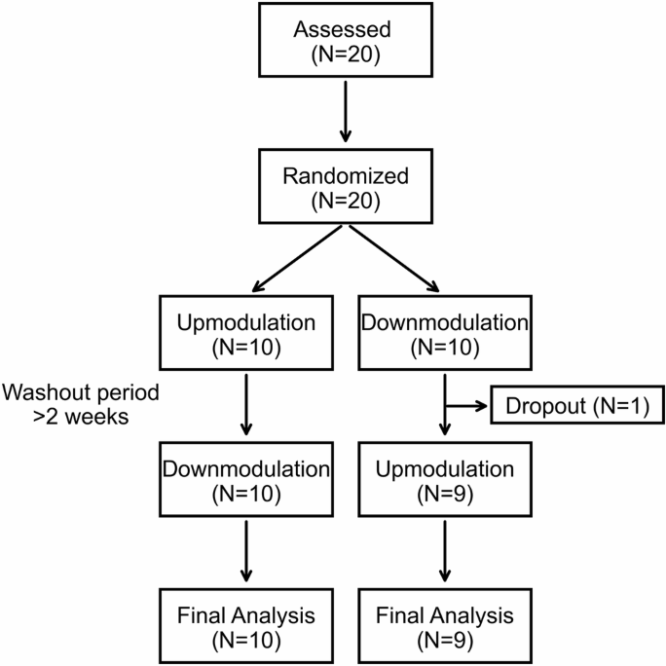 Neurofeedback modulation of insula activity via meg based brain machine interface a double blind randomized controlled crossover trial nature