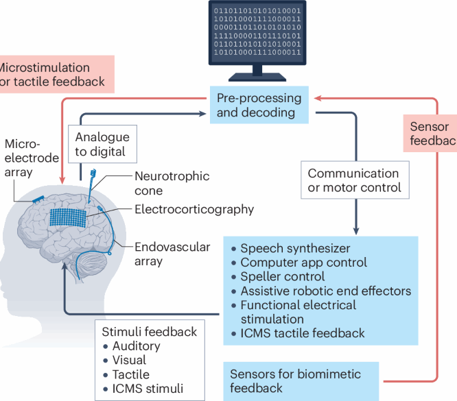 Inbrain neuroelectronics reports positive interim results from study of bci tech fierce biotech