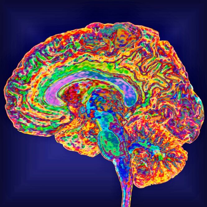 A mind reading brain implant that comes with password protection nature