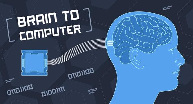 Brain computer interfaces bci in paraplegia industry growth openpr com