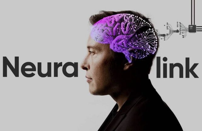 Neuralink to kick start high volume production of brain computer interface devices elon musk says fierce biotech