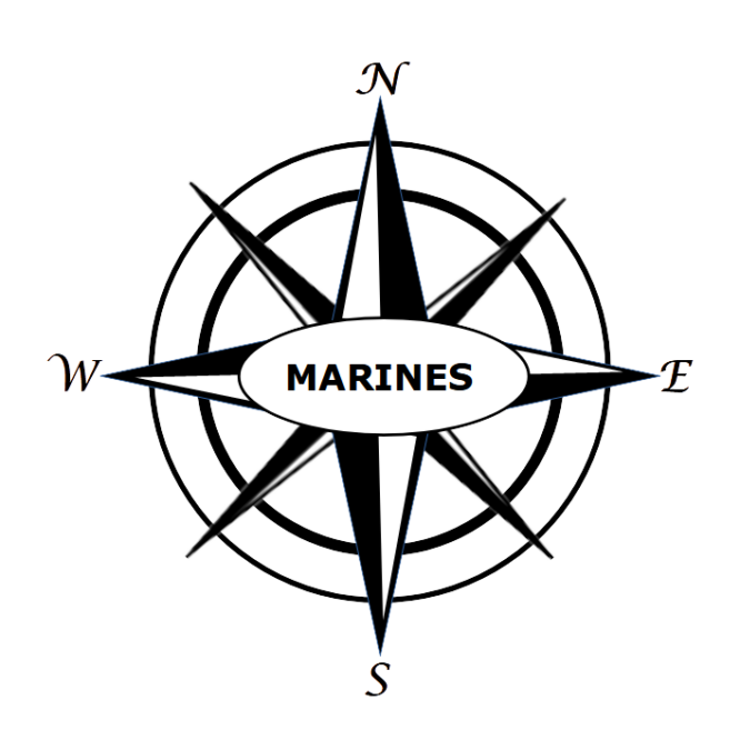 Us used powerful mystery weapon that brought venezuelan soldiers to their knees during maduro raid witness account new york post