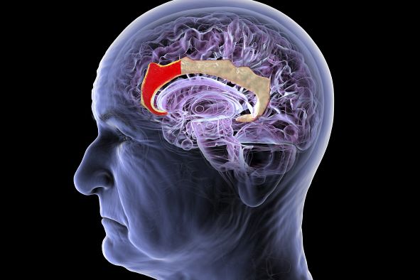 This chinese startup wants to build a new brain computer interface no implant required wired