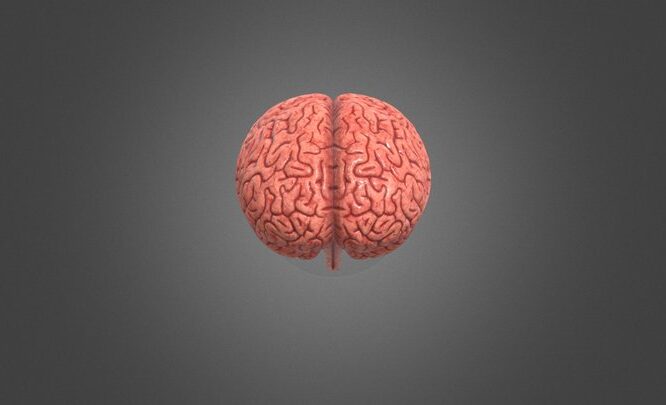 Brain computer interface technology research the global openpr com